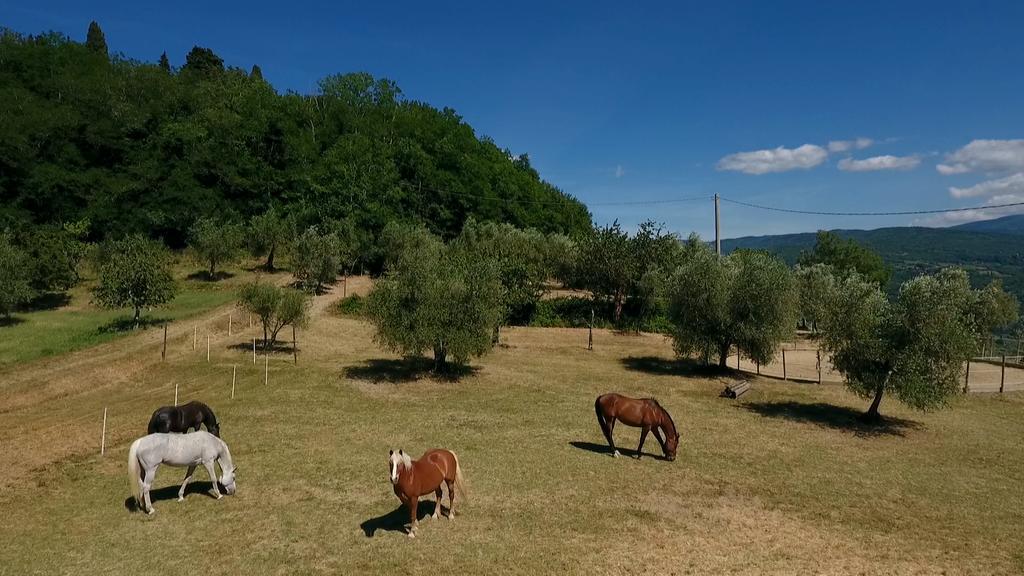 Podere Il Poggiolo Villa Rufina Exterior foto